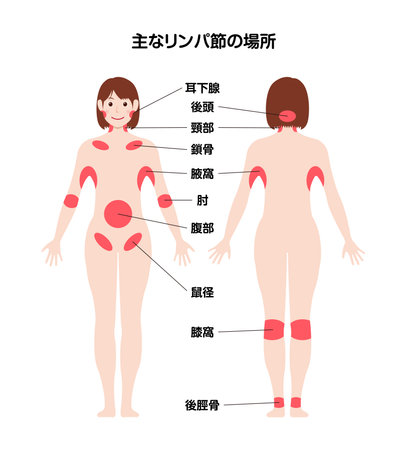 治療前後の注意点と安全対策