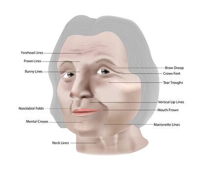契約内容と料金体系の確認