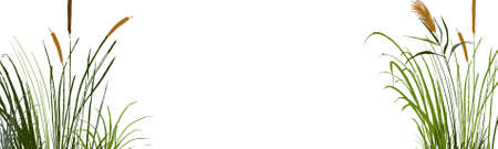 日本のクリニック事情と症例数の増加